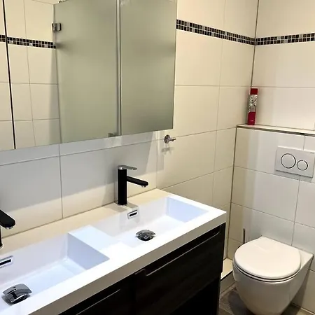 Penthouse Brockenblick 381 브라운라제
