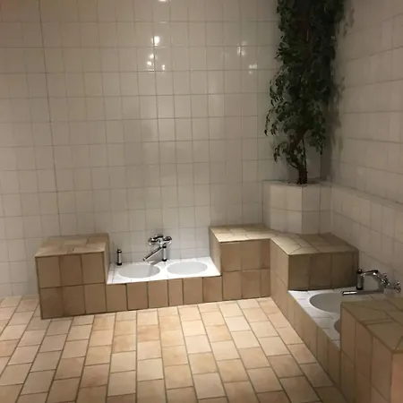 Penthouse Brockenblick 381