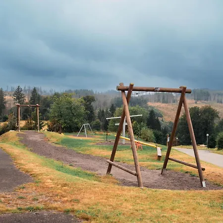 Penthouse Brockenblick 381