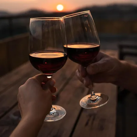 شقة Penthouse Brockenblick 381