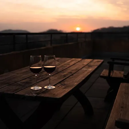 Penthouse Brockenblick 381