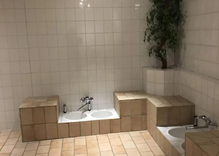 Penthouse Brockenblick 381