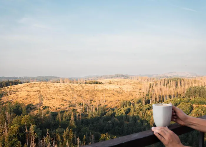 Penthouse Brockenblick 381 Daire